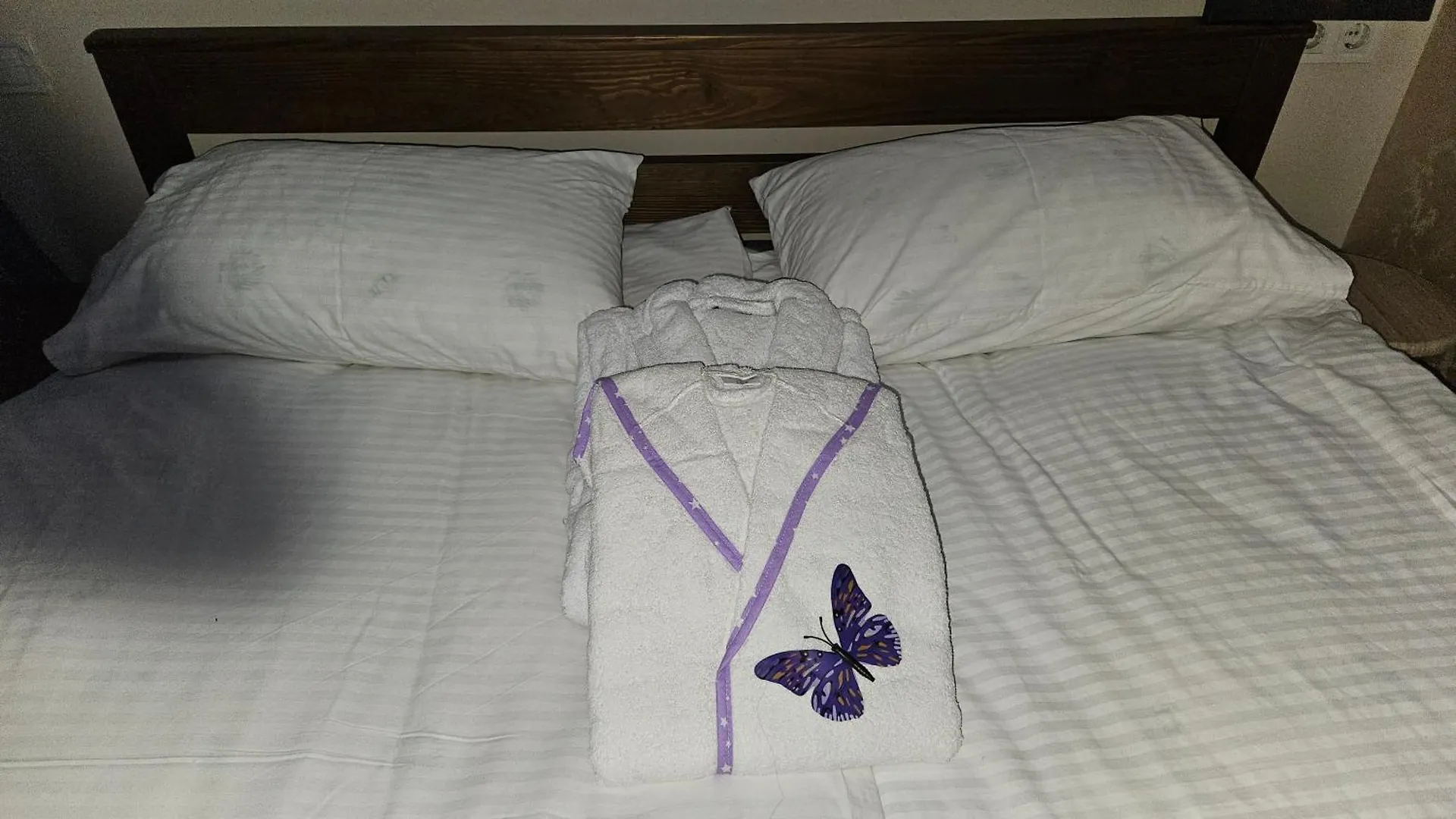 Newplay Hostel Lviv Ukraine